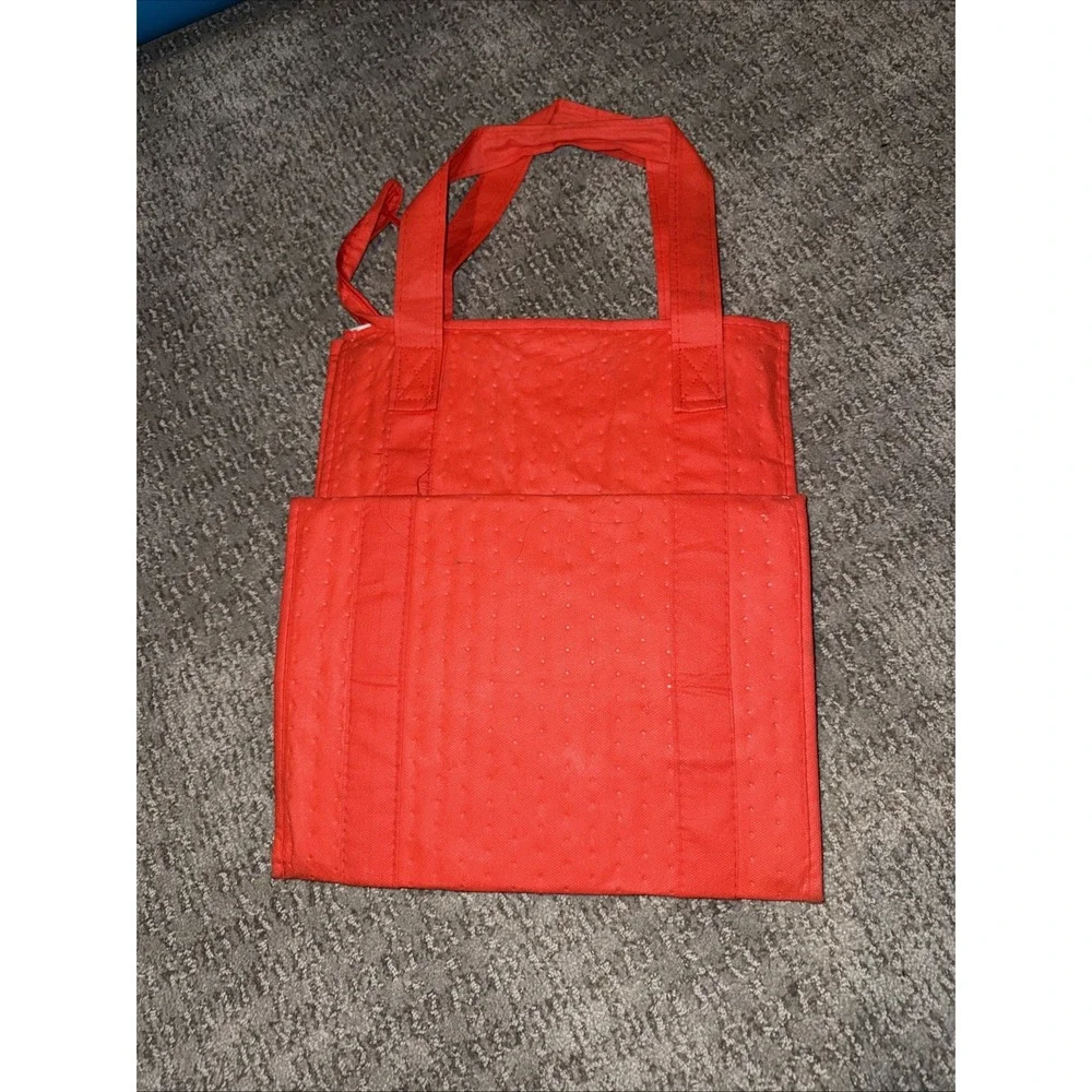 Doordash Insulated Food Delivery Bag‎ Professional Authentic 13×10×15